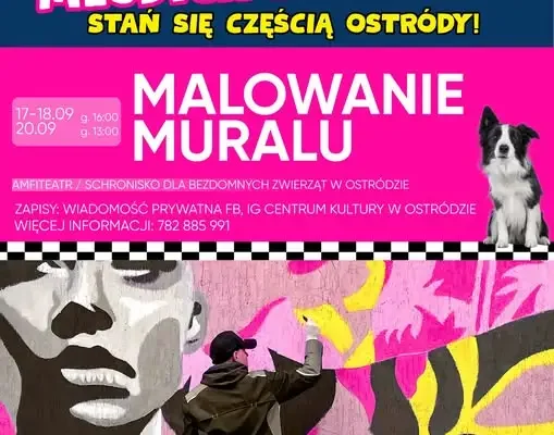 Mural w schronisku dla zwierząt w Ostródzie – finał Studia Młodych Inicjatyw