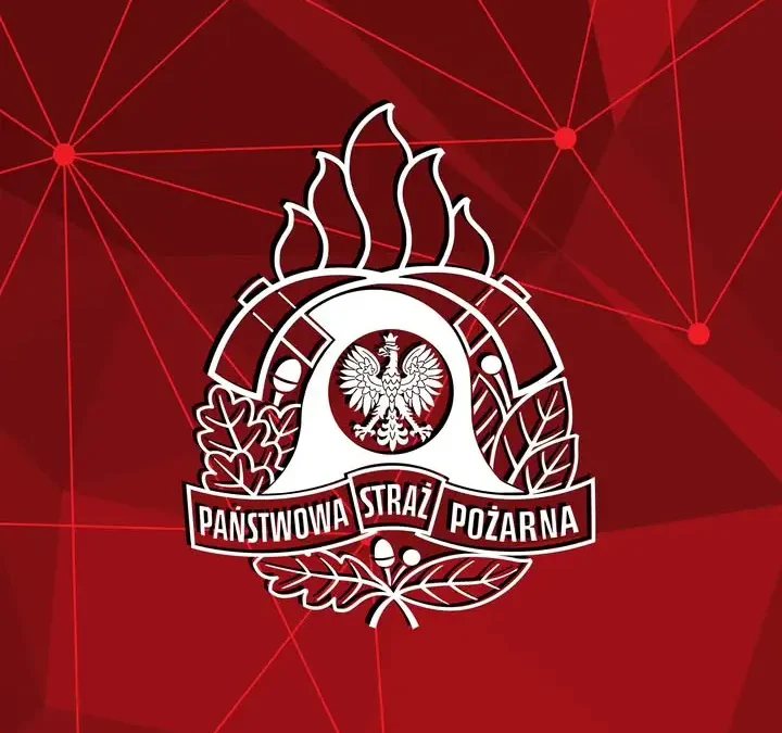 Pożar wysypiska odpadów w Rudnie. 29 strażaków walczyło z ogniem ponad 4 godziny