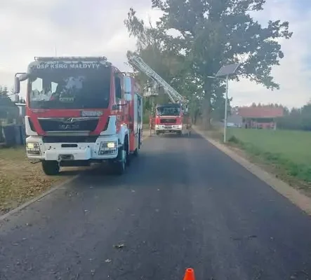 Złamany konar nad drogą w Wilamowie — interwencja strażaków OSP Małdyty