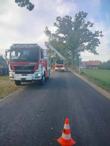 Złamany konar nad drogą w Wilamowie — interwencja strażaków OSP Małdyty