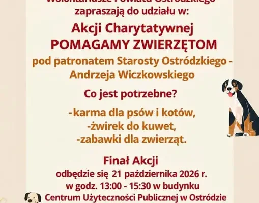 Ostróda: rusza zbiórka karmy i akcesoriów dla zwierząt. Finał już 21 października