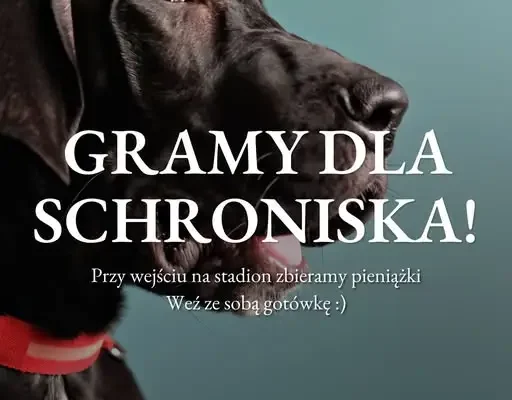Sobota na stadionie: mecz ze Stomilem i zbiórka dla schroniska w Ostródzie