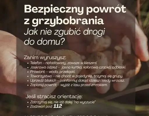 Sezon na grzyby w pełni – jak bezpiecznie wrócić z lasu? Policja apeluje