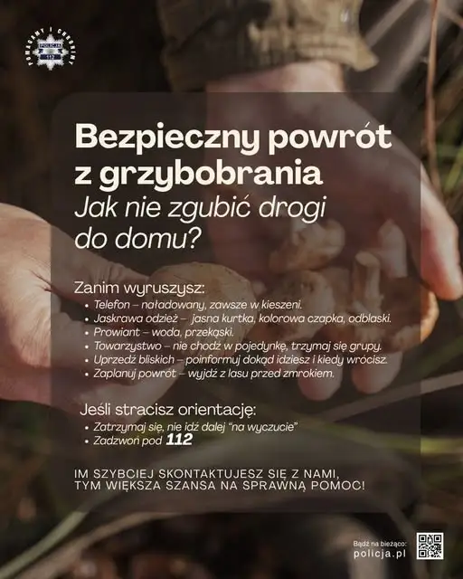 Sezon na grzyby w pełni – jak bezpiecznie wrócić z lasu? Policja apeluje