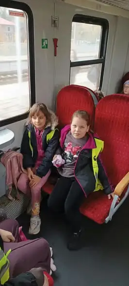 Klasa 2c odkrywała leśne tajemnice w Nadleśnictwie Dobrocin